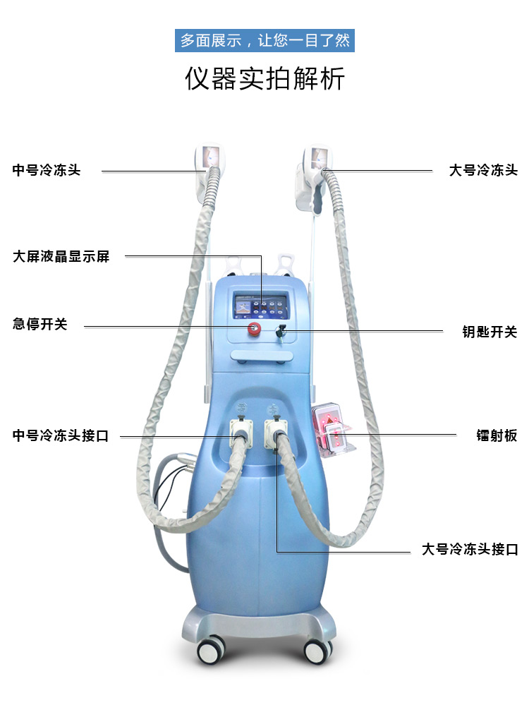 双头冷冻塑形仪