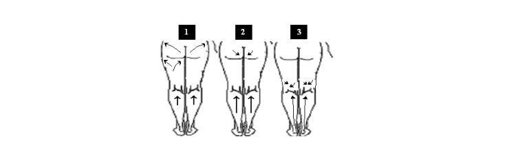 臀部及腿部操作手法图